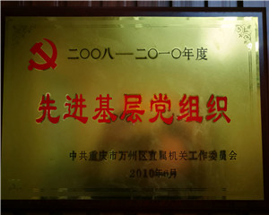 2008先进基层党组织